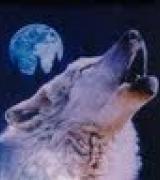 Oldwolve50's Avatar