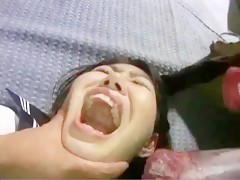 Dificil Eleccion, Mi Amigo o Su Perro