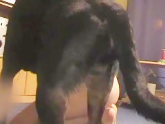 El spa