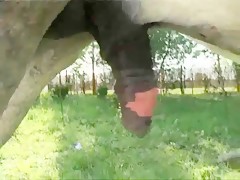 Thumb 20