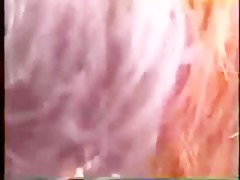 Thumb 12