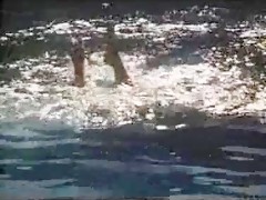 Vixen señorita motivación