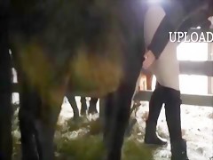 Amateur horse sex