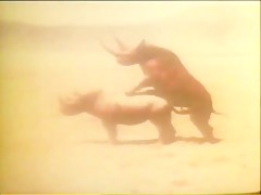 Marina Lotar Osceno - VideosBizarre