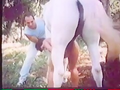 Animal - Horse - Gag After Swallowing Horsecum