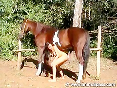 AnimalPass - Nice Brass. Girl And Horse